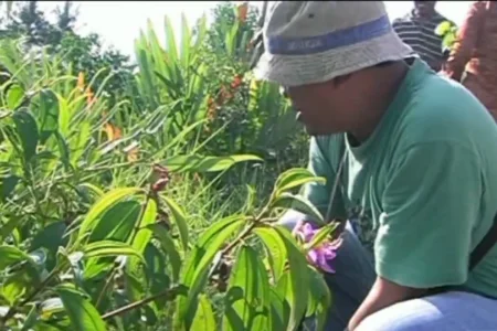 Pemberdayaan Hutan Mangrove dan Lingkungan, Radio Mitra FM Gelar Festival Budaya Rakyat 2011